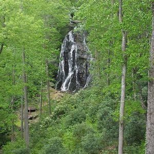 Meet your Posher, Vikki